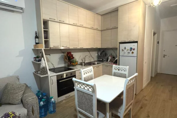 Shtepi me qera Apartament ne Tirane, 1+1, Mobilimi E mobiluar, Pagesa 500  Euro.