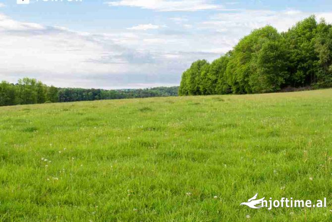 Terreno in vendita  a Tirana - 180,000 Euro