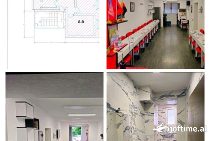 Ambient biznesi me qera 3+1 ne Tirane - 800 Euro