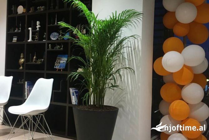 Ambient biznesi me qera 3+1 ne Tirane - 1,400 Euro