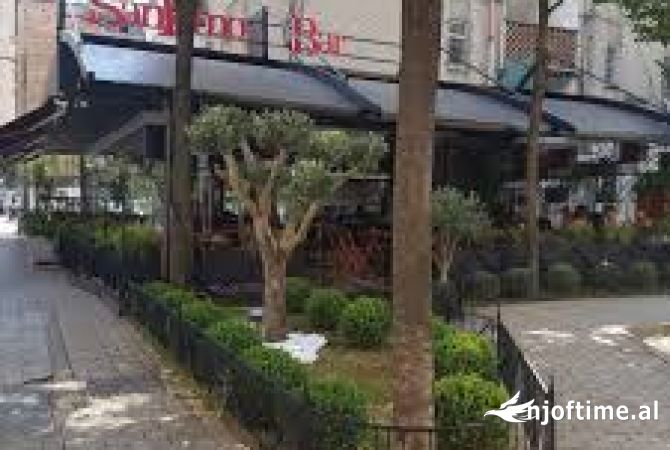 Ambient biznesi me qera 3+1 ne Tirane - 750 Euro