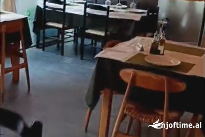 Ambient biznesi me qera 2+1 ne Tirane - 1,200 Euro