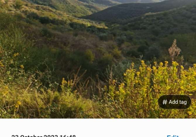 Truall ose Toke  ne Fier - 1,235,000 Euro