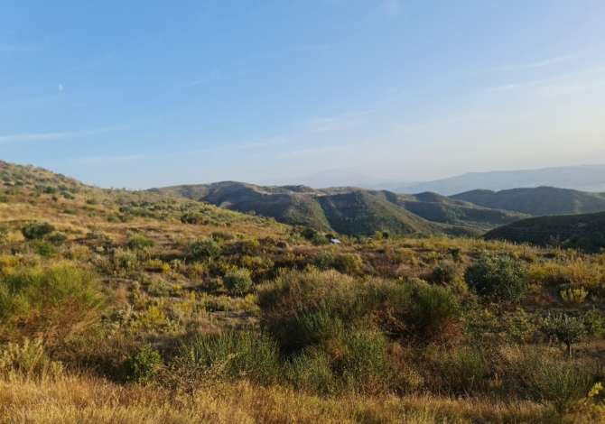 Truall ose Toke  ne Fier - 1,235,000 Euro