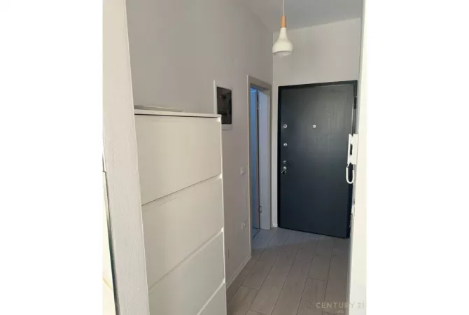 Shtepi me qera Apartament ne Tirane, 1+1, Mobilimi E mobiluar, Pagesa 65,000  Leke.