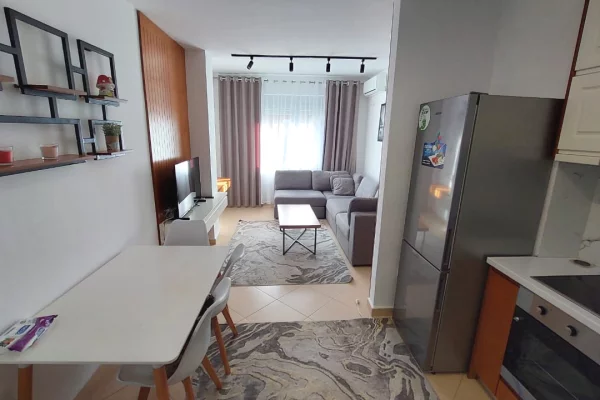 House for Rent 1+1 in Tirana - 55,000 Leke