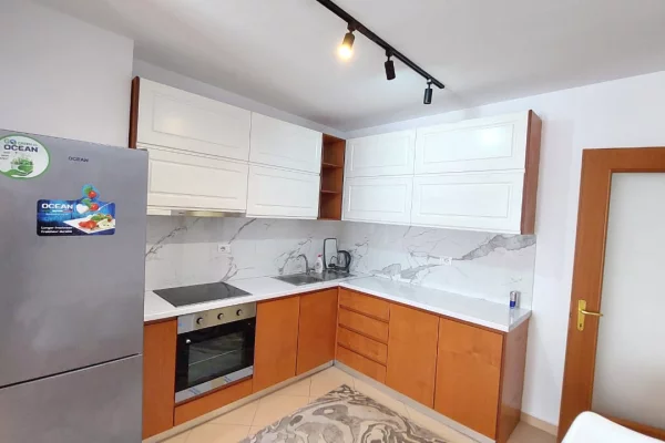 Shtepi me qera Apartament ne Tirane, 1+1, Mobilimi E mobiluar, Pagesa 55,000  Leke.