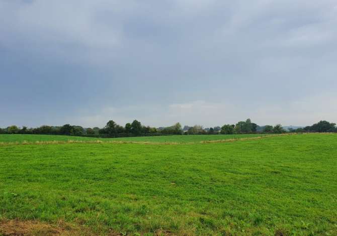 Truall ose Toke ne Durres - 330,000 Euro