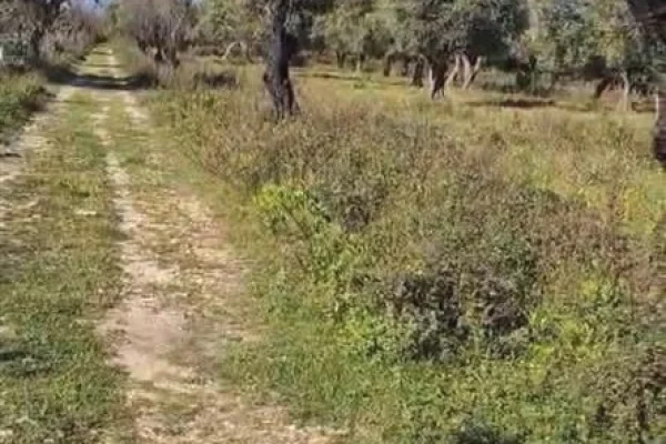 Truall ose Toke ne Himare - 149,800 Euro