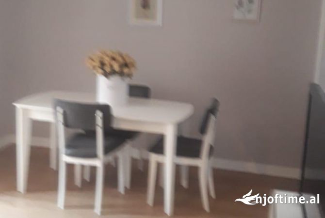 Shtepi me qera 1+1 ne Tirane - 350 Euro