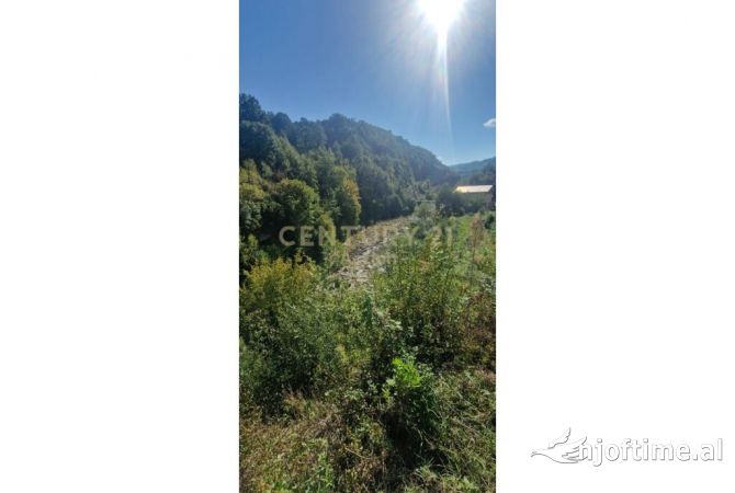 Truall ose Toke ne Tirane - 163,995 Euro