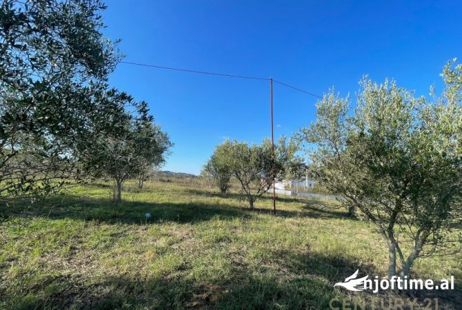 Truall ose Toke ne Tirane - 190,000 Euro