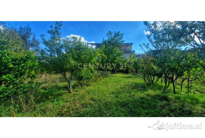 Truall ose Toke ne Tirane - 400,000 Euro