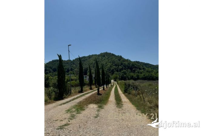 Terreno in vendita  a Tirana - 120,000 Euro