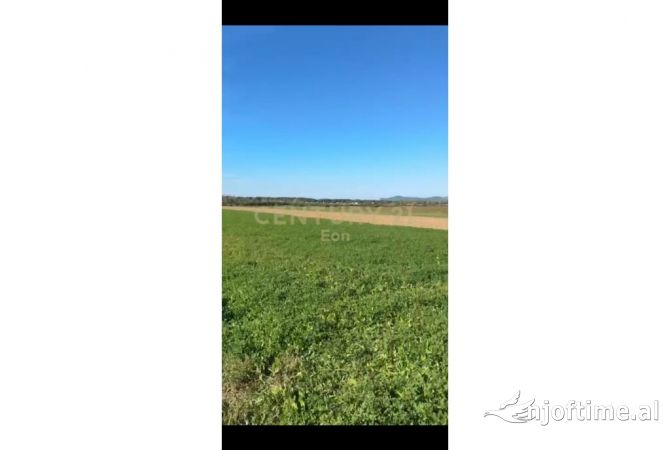 Truall ose Toke  ne Durres - 206,070 Euro