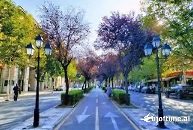 Ambient biznesi ne shitje 1+1 ne Tirane - 2,365,000 Euro