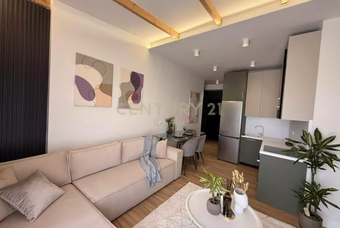 Shtepi ne shitje Apartament ne Tirane, 1+1, Mobilimi E mobiluar, Pagesa 119,000  Euro.