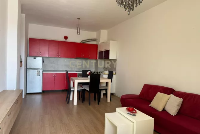 Shtepi ne shitje 1+1 ne Tirane - 110,000 Euro