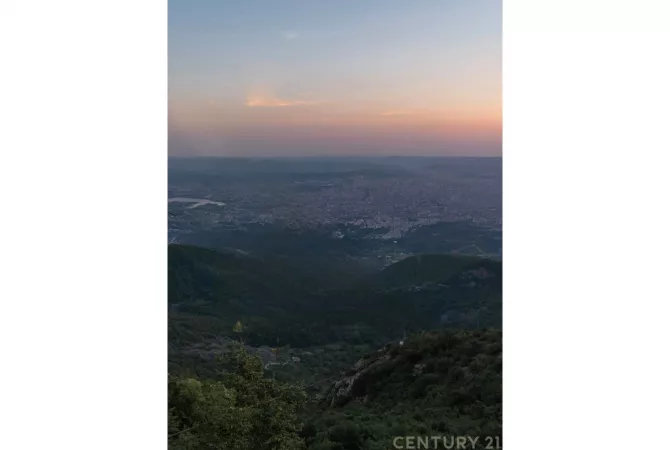 Ambient biznesi ne shitje 5+1 ne Tirane - 2,900,000 Euro