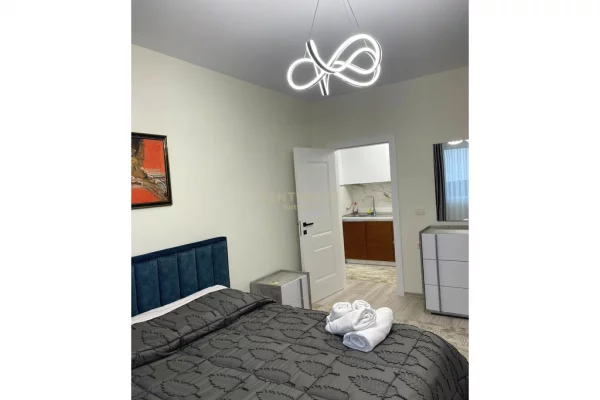 Shtepi me qera Apartament ne Tirane, 1+1, Mobilimi E mobiluar, Pagesa 1,000  Euro.