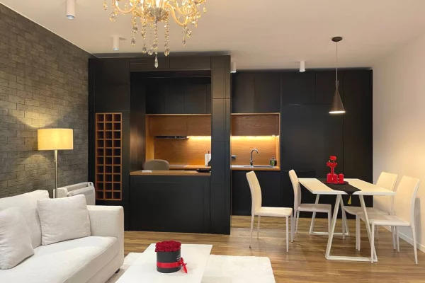 Shtepi ne shitje 1+1 ne Tirane - 230,000 Euro