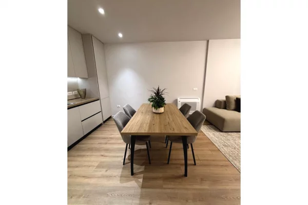 Shtepi me qera Apartament ne Tirane, 1+1, Mobilimi E mobiluar, Pagesa 850  Euro.