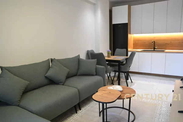 Shtepi ne shitje Apartament ne Tirane, 1+1, Mobilimi E mobiluar, Pagesa 92,000  Euro.
