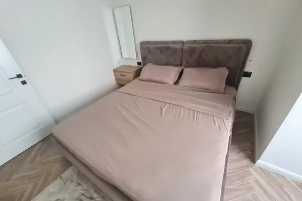 Shtepi me qera Apartament ne Tirane, 1+1, Mobilimi E mobiluar, Pagesa 600  Euro.