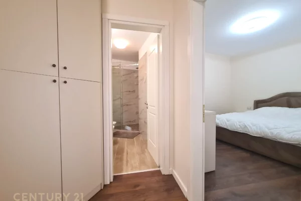 Shtepi me qera Apartament ne Tirane, 1+1, Mobilimi E mobiluar, Pagesa 1,000  Euro.