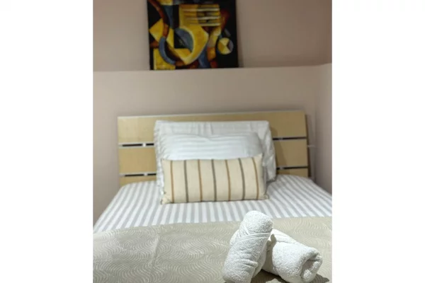 Shtepi me qera Apartament ne Tirane, 2+1, Mobilimi E mobiluar, Pagesa 750  Euro.