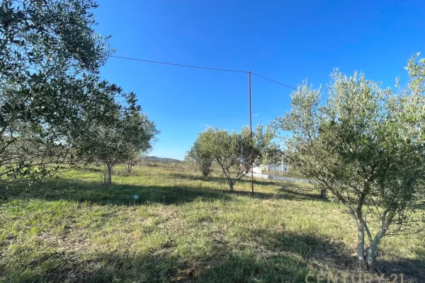 Truall ose Toke ne Tirane - 190,000 Euro