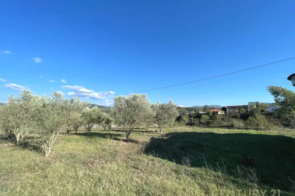 Truall ose Toke ne Tirane - 190,000 Euro