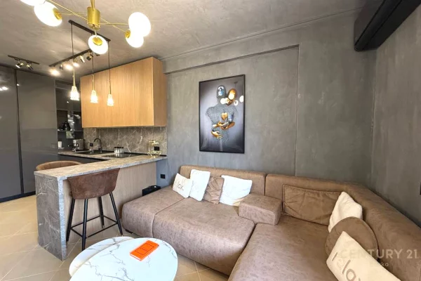 Shtepi me qera Apartament ne Tirane, 1+1, Mobilimi E mobiluar, Pagesa 500  Euro.