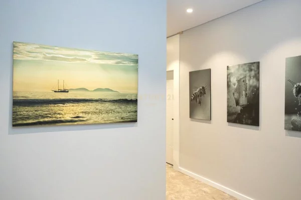 Shitje: Mini Hotel Luksoz, Afer Qendres Historike te Vlores