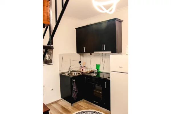 Shtepi ne shitje Apartament ne Tirane, 1+1, Mobilimi E mobiluar, Pagesa 87,000  Euro.