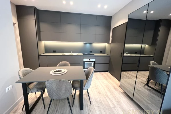 Shtepi me qera Apartament ne Tirane, 1+1, Mobilimi E mobiluar, Pagesa 850  Euro.