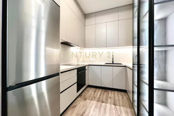 Shtepi me qera Apartament ne Tirane, 1+1, Mobilimi E mobiluar, Pagesa 550  Euro.