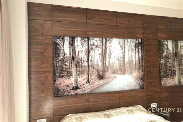 Shtepi me qera Apartament ne Tirane, 1+1, Mobilimi E mobiluar, Pagesa 650  Euro.