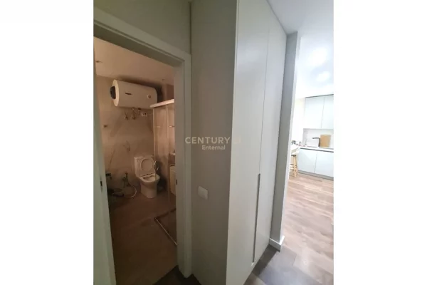 Shtepi me qera Apartament ne Tirane, 1+1, Mobilimi E mobiluar, Pagesa 500  Euro.