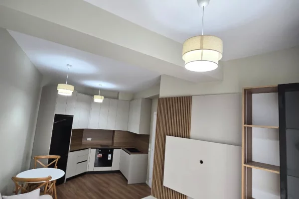 Shtepi me qera Apartament ne Tirane, 1+1, Mobilimi E mobiluar, Pagesa 600  Euro.