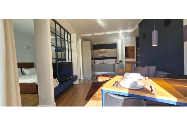 Shtepi ne shitje Apartament ne Tirane, 1+1, Mobilimi E mobiluar, Pagesa 280,000  Euro.