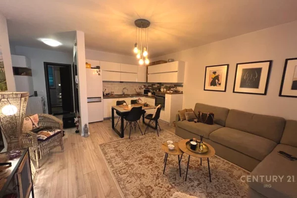 Shtepi me qera Apartament ne Tirane, 1+1, Mobilimi E mobiluar, Pagesa 700  Euro.