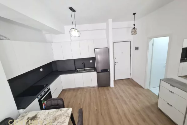 Shtepi ne shitje Apartament ne Tirane, 1+1, Mobilimi E mobiluar, Pagesa 115,000  Euro.