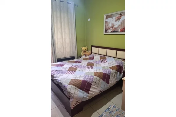 Shtepi ne shitje Apartament ne Tirane, 1+1, Mobilimi E mobiluar, Pagesa 115,000  Euro.