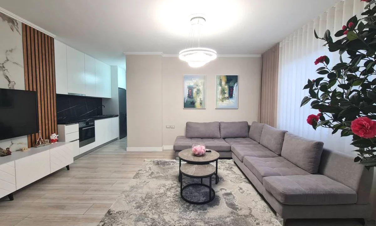 Shtepi me qera Apartament ne Tirane, 1+1, Mobilimi E mobiluar, Pagesa 850  Euro.