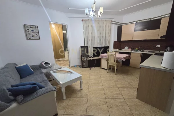 SHESIM APARTAMENT 1+1 NE SELITE!