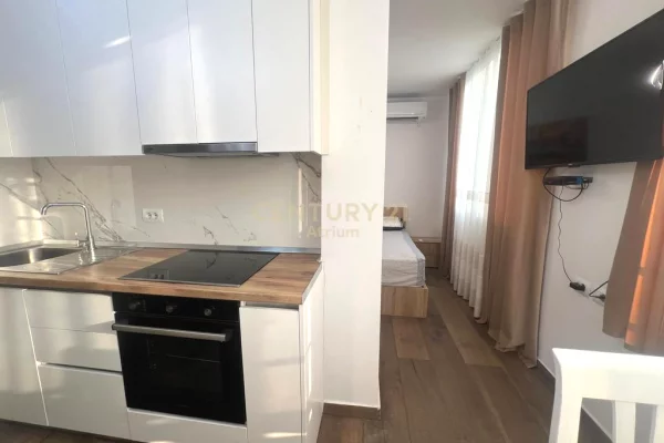 Shtepi me qera Apartament ne Tirane, Garsoniere, Mobilimi E mobiluar, Pagesa 500  Euro.