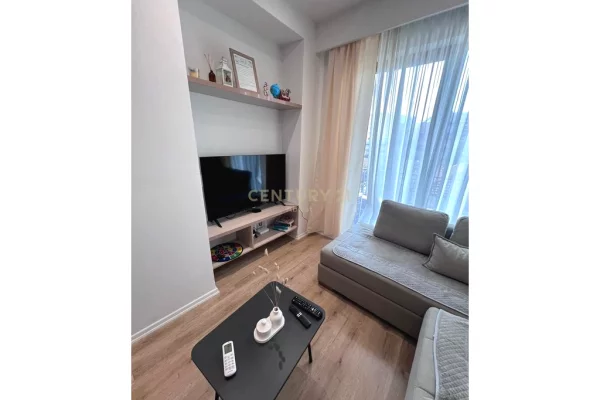 Shtepi me qera Apartament ne Tirane, 1+1, Mobilimi E mobiluar, Pagesa 650  Euro.