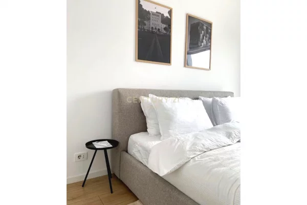 Shtepi me qera Apartament ne Tirane, 1+1, Mobilimi E mobiluar, Pagesa 90,000  Leke.