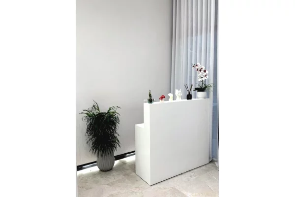 Ambient biznesi me qera 3+1 ne Tirane - 690 Euro